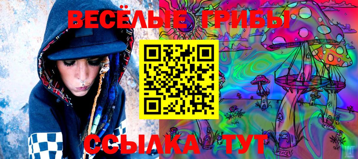 Галлюциногенные грибы MAGIC MUSHROOMS  Вход с VPN  Кольчугино  Галлюциногенные грибы Magic Shrooms 